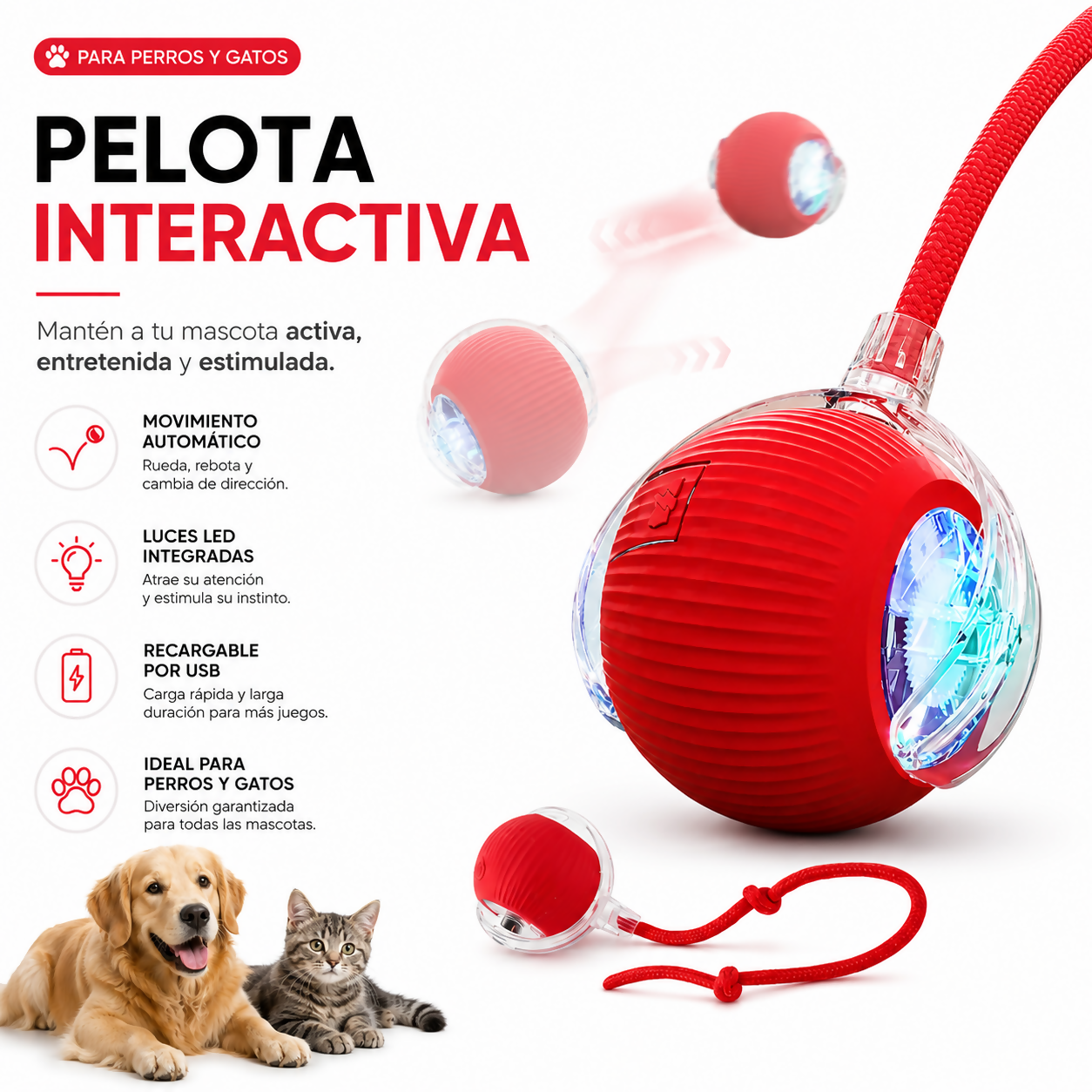 Pelota para mascota interactiva